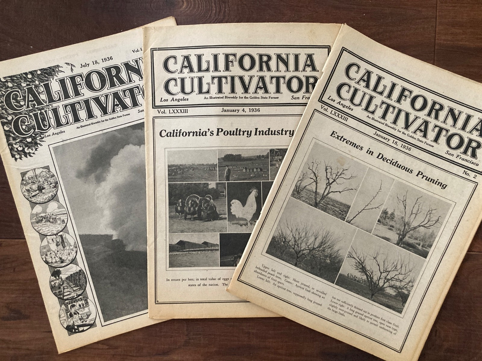 California Cultivator Agricultural Newspaper 1936 Biweekly Lot of 23 VHTF
