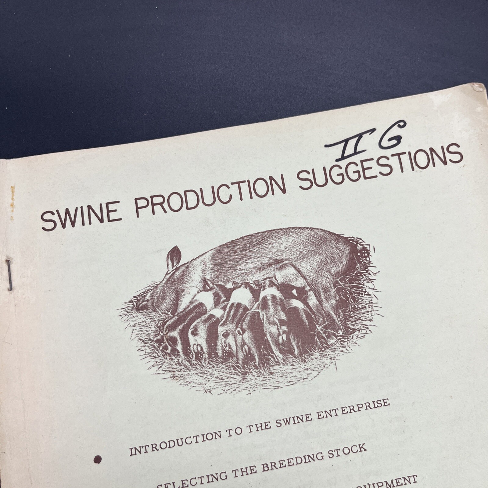 Vtg 1950s Swine PRODUCTION Suggestions BULLETIN PIG HOG BOOK FARM PA State Un B9
