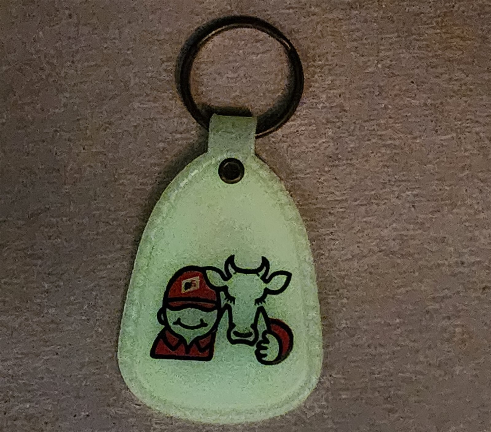 VINTAGE FS MCCLEAN COUNTY SERVICE KEYCHAIN BLOOMINGTON IL GLOW IN THE DARK 3&Prime;