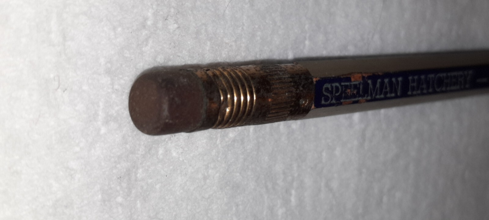 LONG FERRULE « Sherman Hatchery – Phone 1105 » Gold & Black Unused Wood Pencil