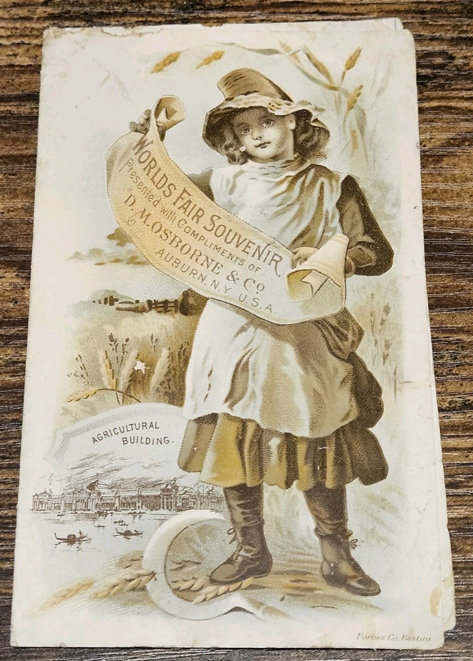 D.M. Osborne Harvester Farm Machinery Brochure Implements Chicago World Fair