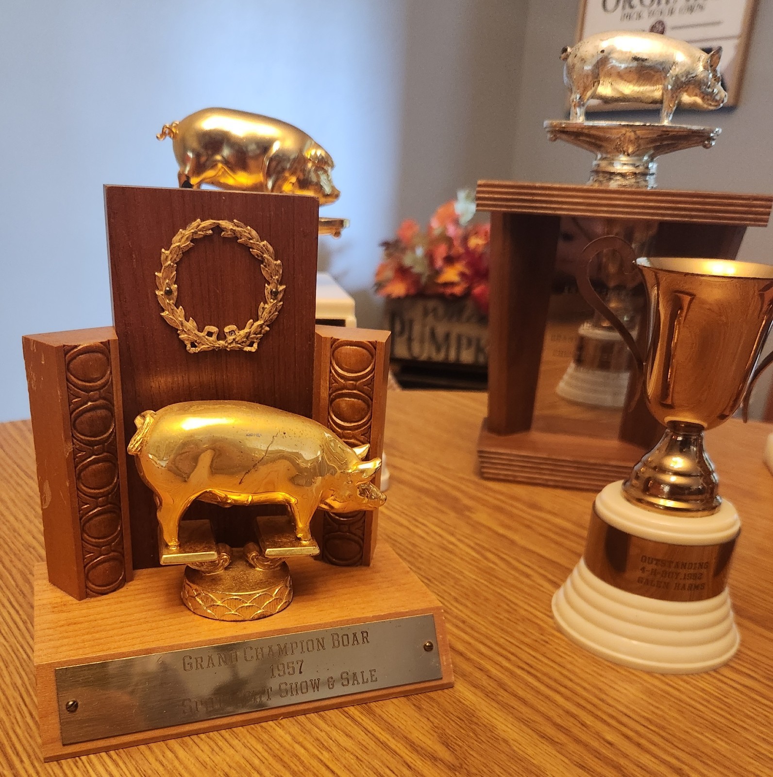 🐖1950s🔥RARE Pig Hog Trophy Champion Market Boar Sow CHESTER WHITES Iowa Sign