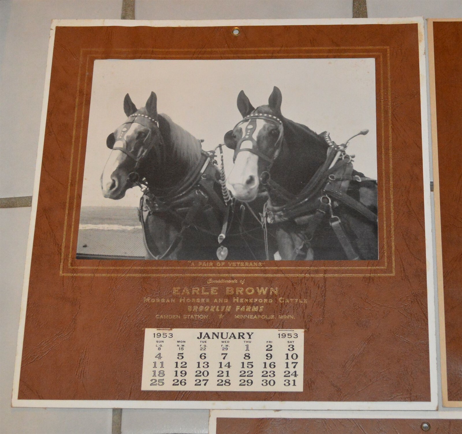 5 1946-1957 Earle Brown Calendars Camden Farms Mpls Morgan Horses