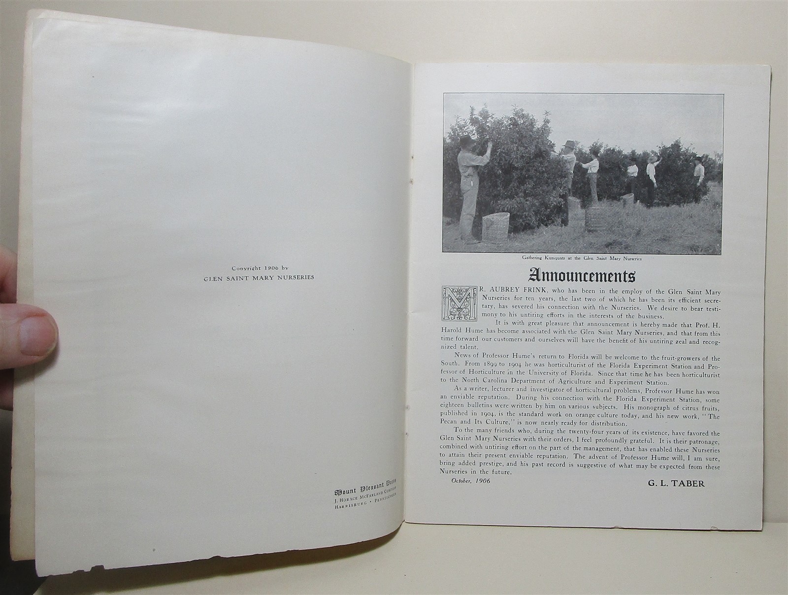 1907 Glen Saint Mary Nurseries catalog, Florida