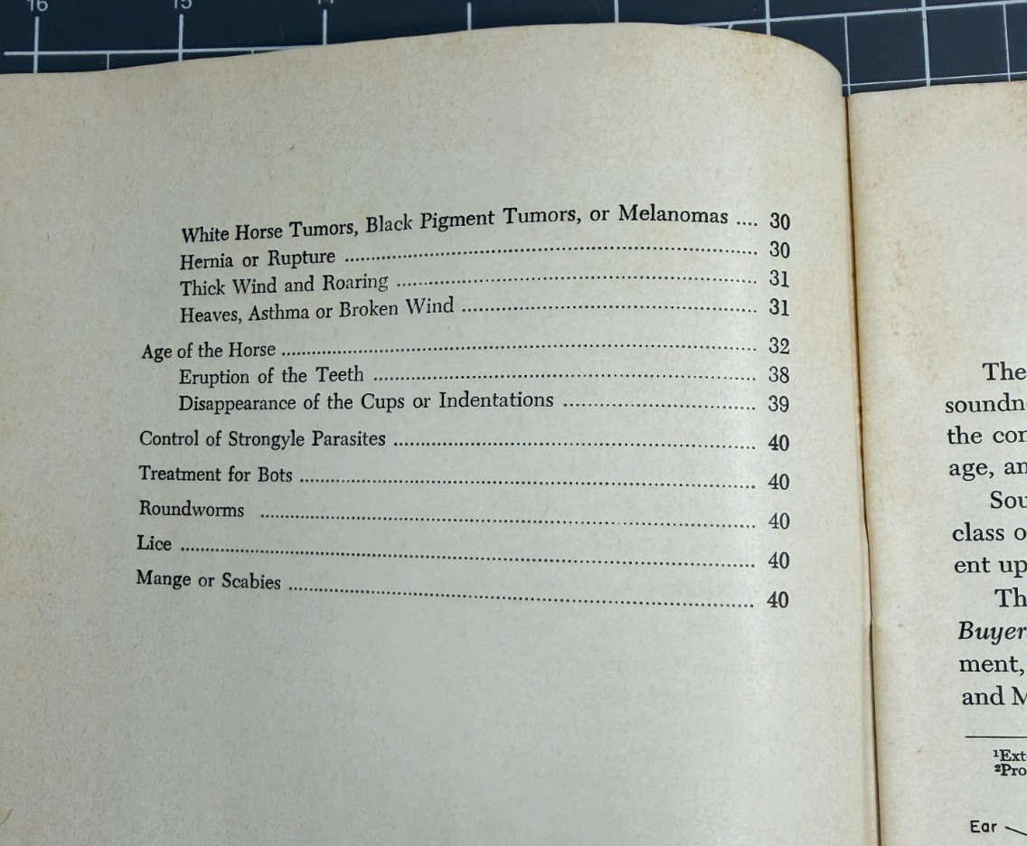 Vintage Feb. 1969 Pamphlet Booklet – The Sound Horse – Michigan State Unv. MSU