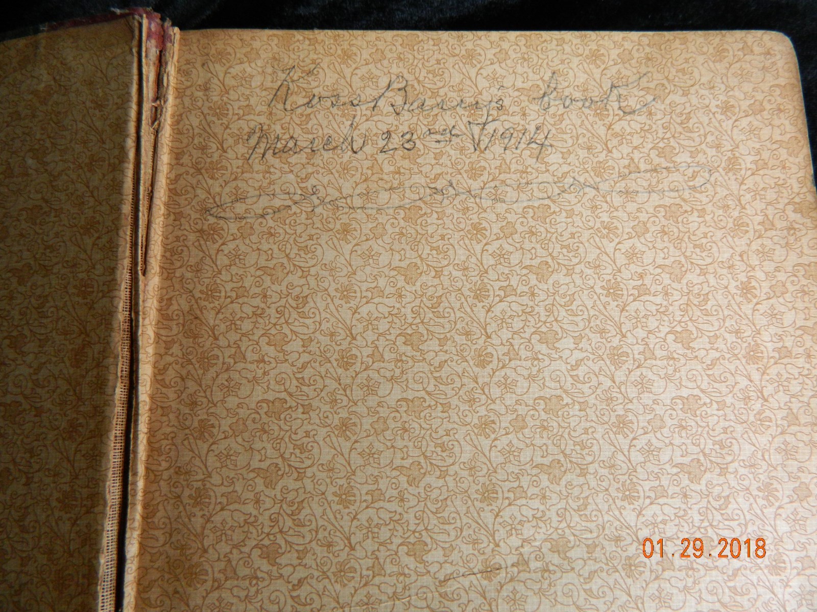 American Aberdeen-Angus Herd Book Vol 22 Original Hardcover RARE VINTAGE 1912