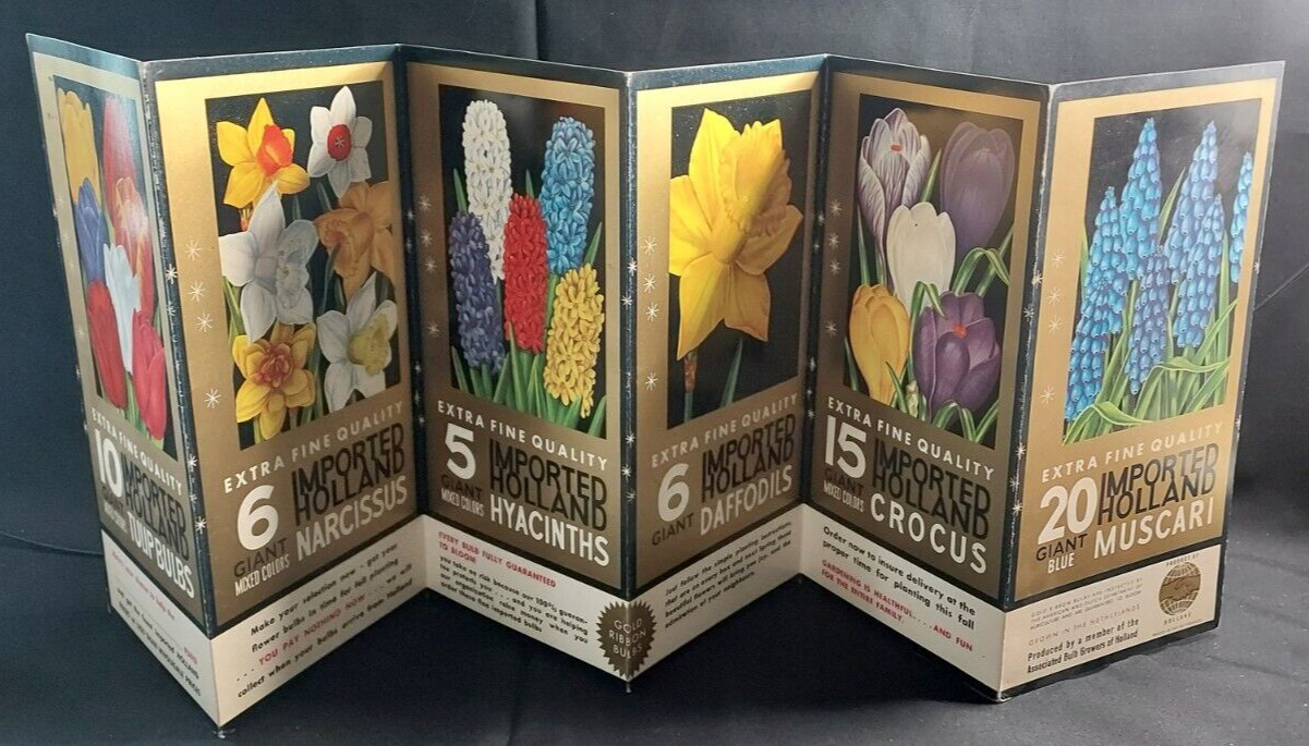 Old Advertising Promotional Folder Associated Bulb Growers Of Holland Tulips