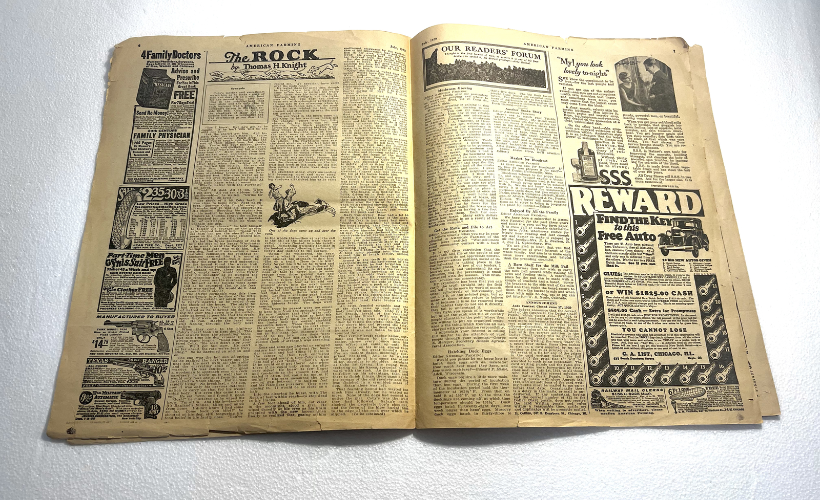 American Farming Newspaper Magazine July, 1929
