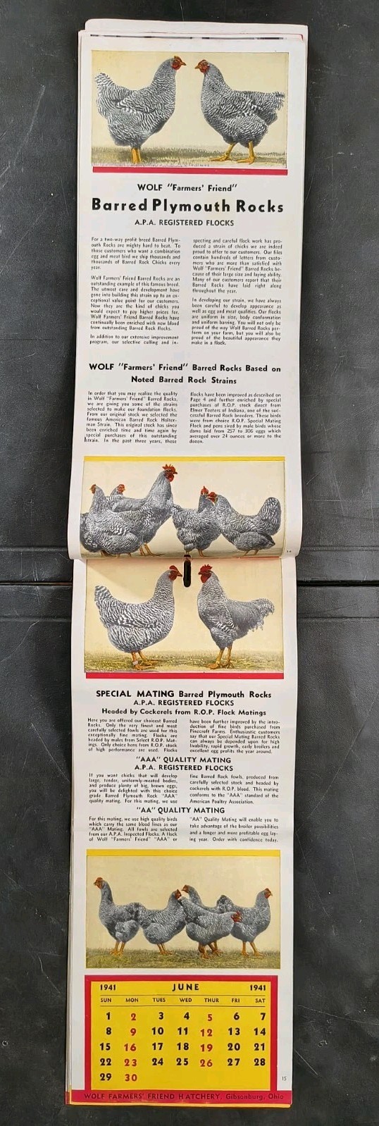 1941 Wolf Baby Chicks Catalog Calendar Sale Brochure Chicken Farming Advertising