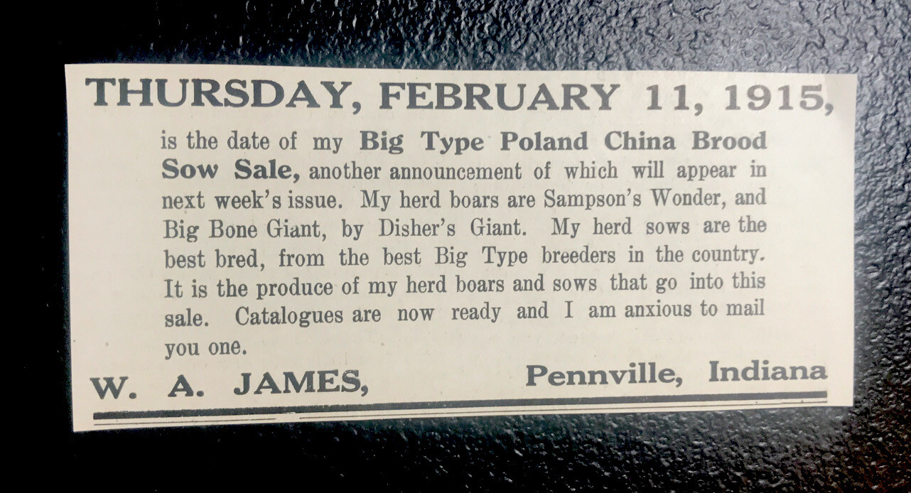 1915 W.A. James Hog Public Sale – Pennville – Indiana – Pig Farm Advertising