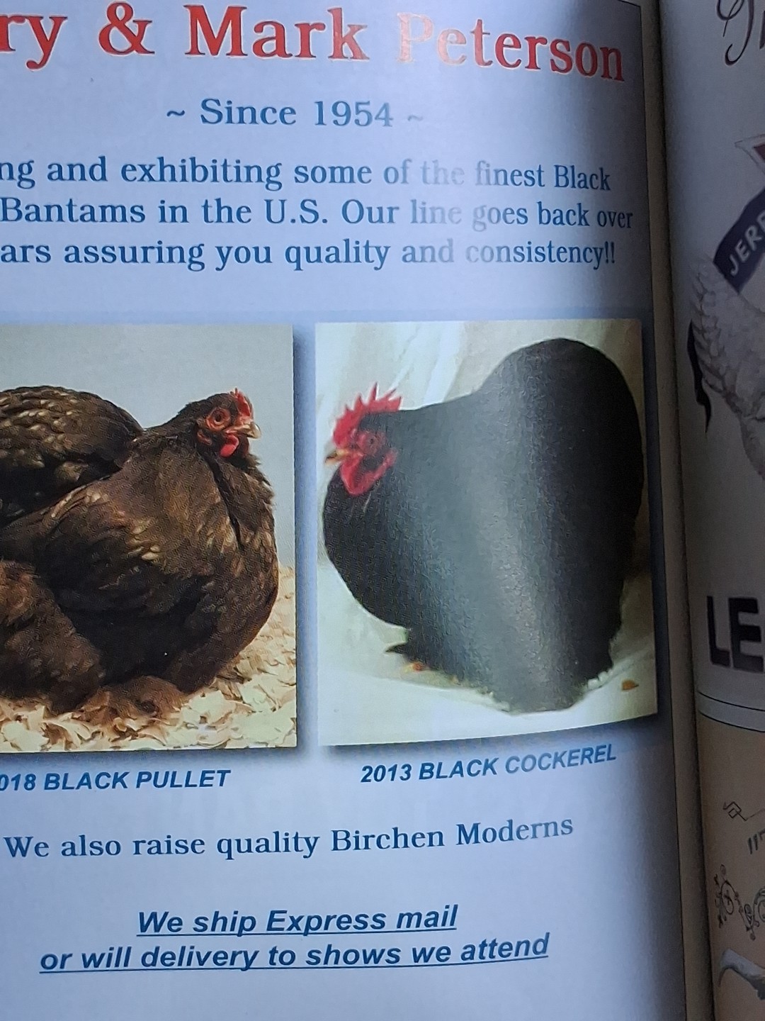 American Bantam Association 2020, 2021 & 2022 Yearbooks. New. ÷