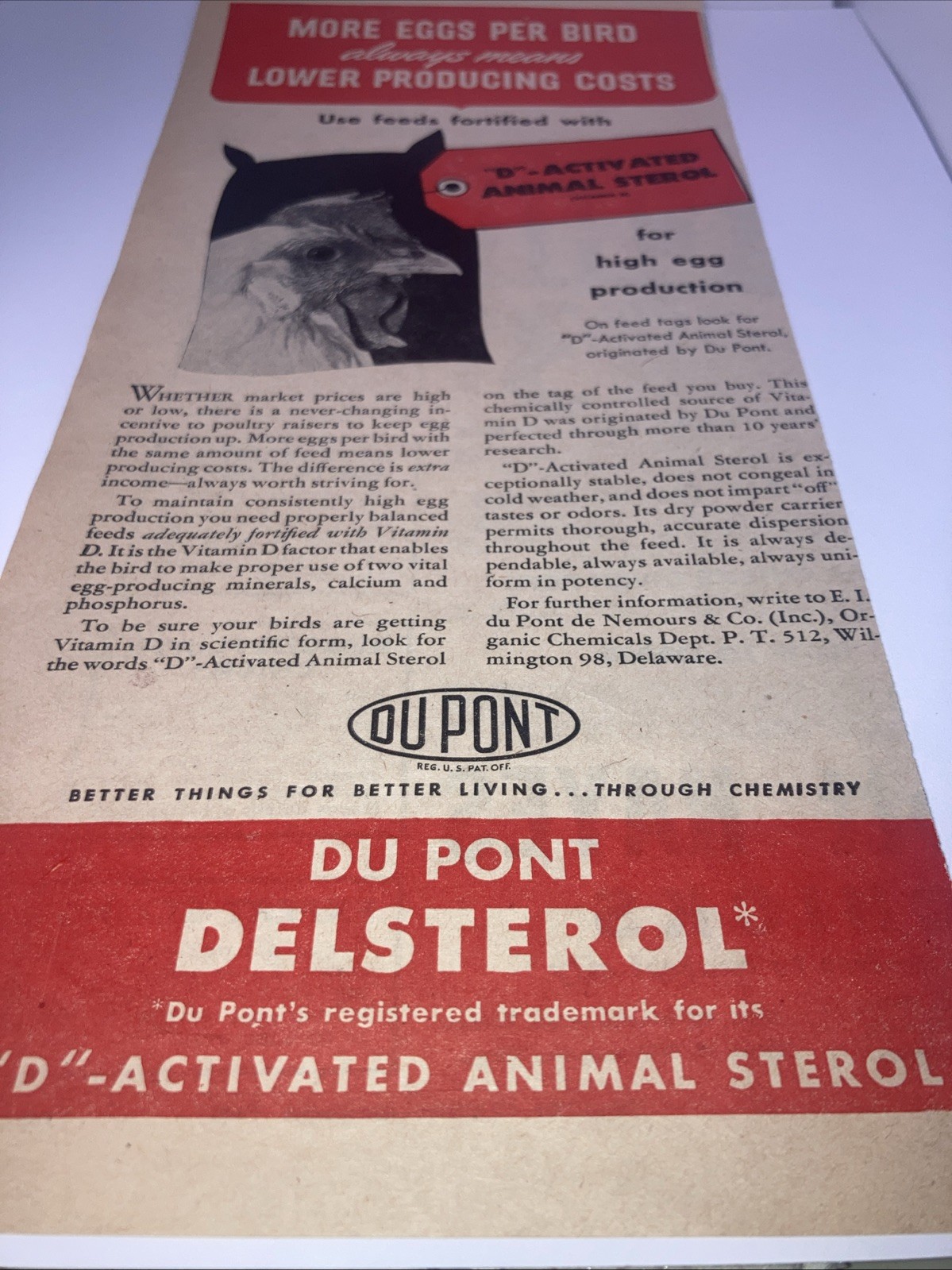 DuPont Delsterol Poultry Feed VTG Print Ad 1945 5”X11” D-Activated Animal PT1