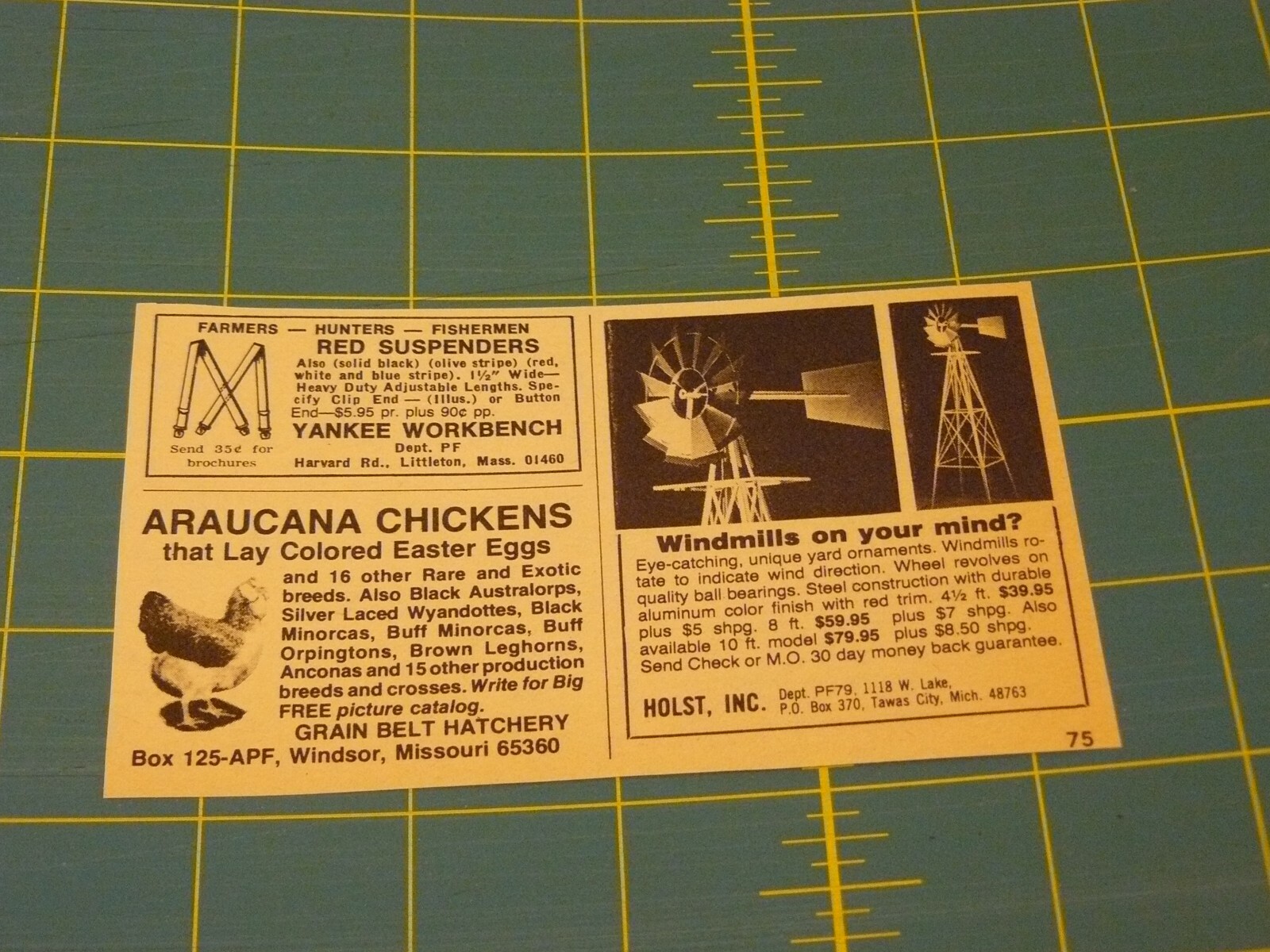 PROGRESSIVE FARMER -JULY 1979-AD- RED SUSPENDERS/ARAUCANA CHICKENS /WINDMILLS