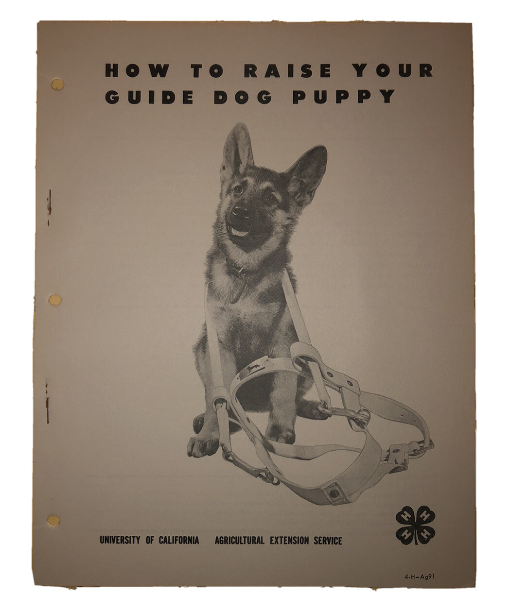 California 4-H Club How To Raise Your Guide Dog Puppy October, 1961 *Unused*