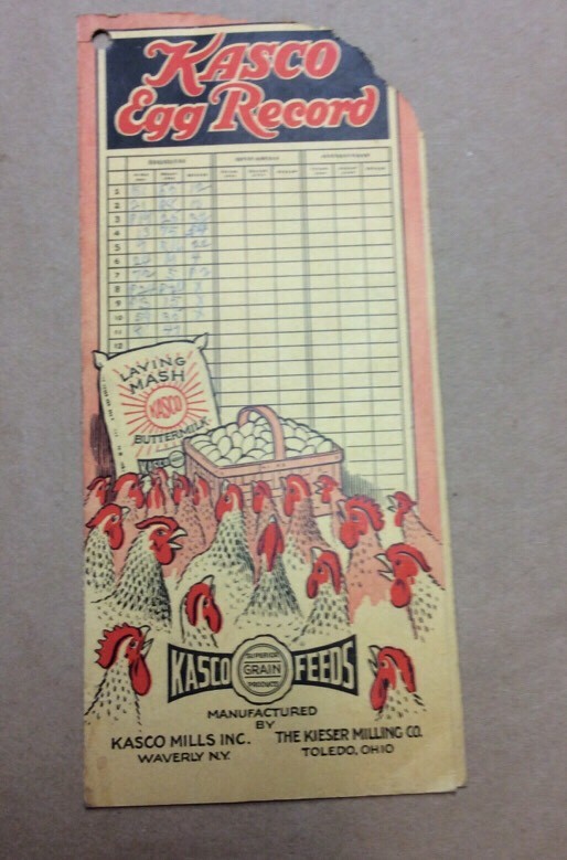 Kasco Egg Record Booklet FINV-P0352
