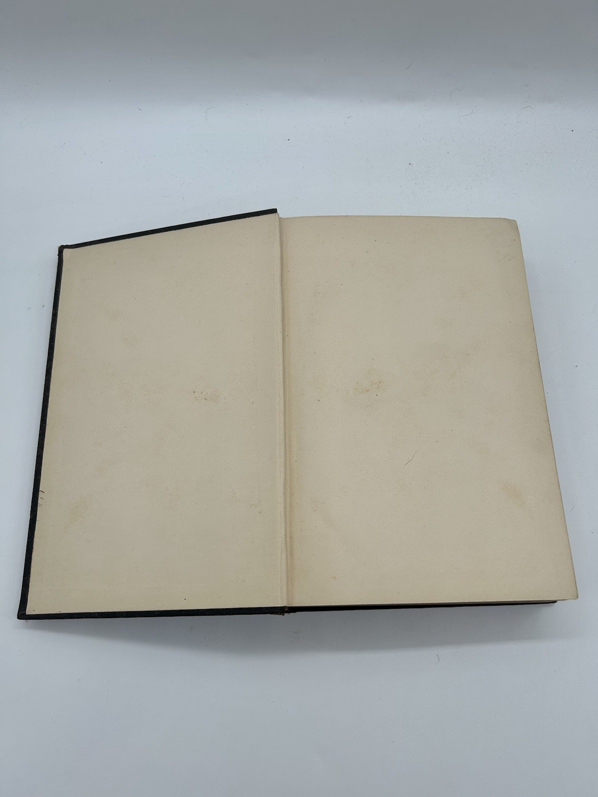 Report of Connecticut Board of Agriculture & Experiment Stations 1892 Antique