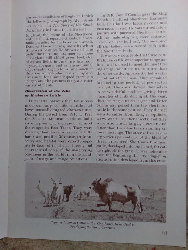 Brochure for Santa Gertrudis Beef Cattle Breed at the King Ranch Kingsville TX
