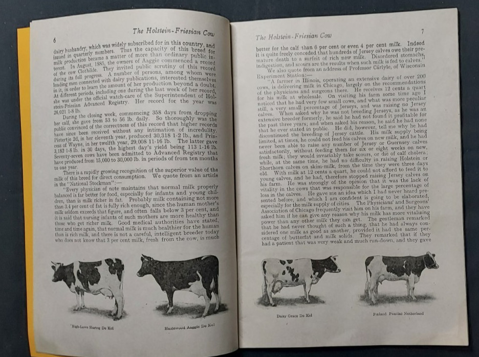 1913 Bulletin Holstein Friesian Association America Brattleboro Vermont Cow