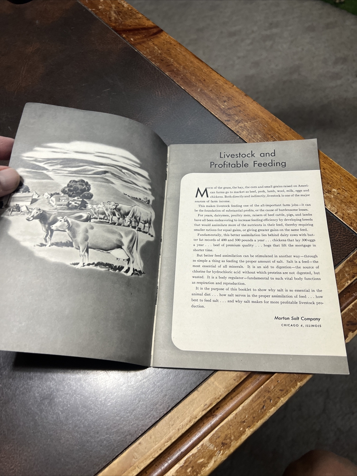 Vintage Morton Salt Co Brochure “Profitable Livestock Feeding”