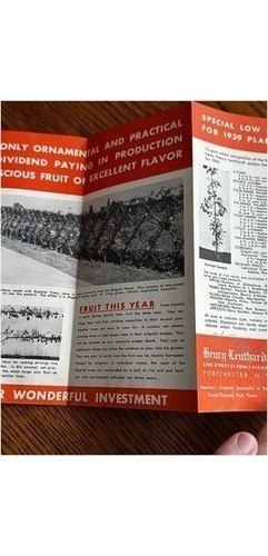 Henry Leuthardt 1939 Espalier Dwarf Fruit Tree Brochure Port Chester NY