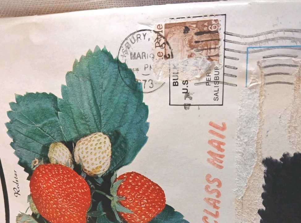 Rare Catalog Ephemera 1973 W.F. Allen Co. Book Of Berries. Anniversary Edition.