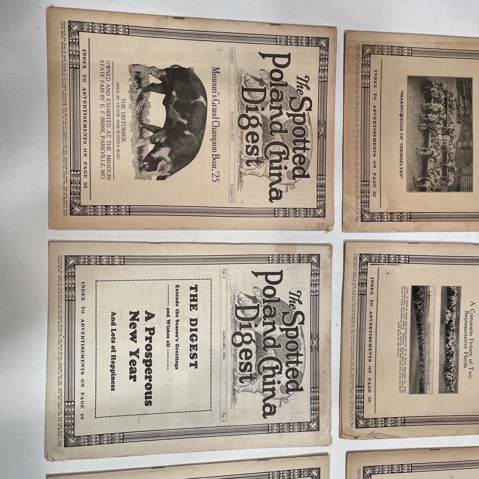 Vintage Spotted Poland China Pig Hog Digest 1925 LOT OF 6