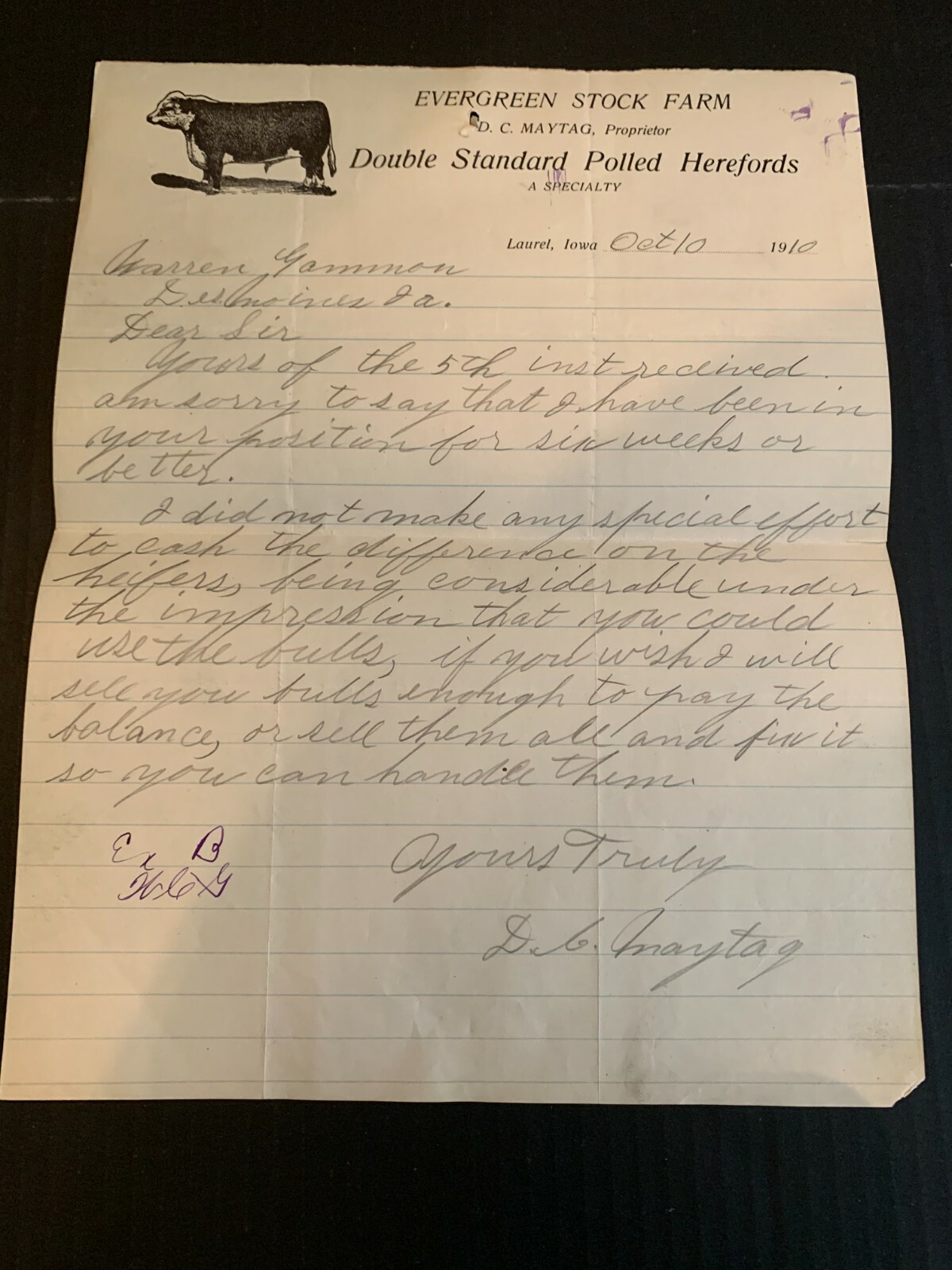 October 10 1910 Evergreen Stock Farms Polled Herefords Letterhead Laurel Iowa