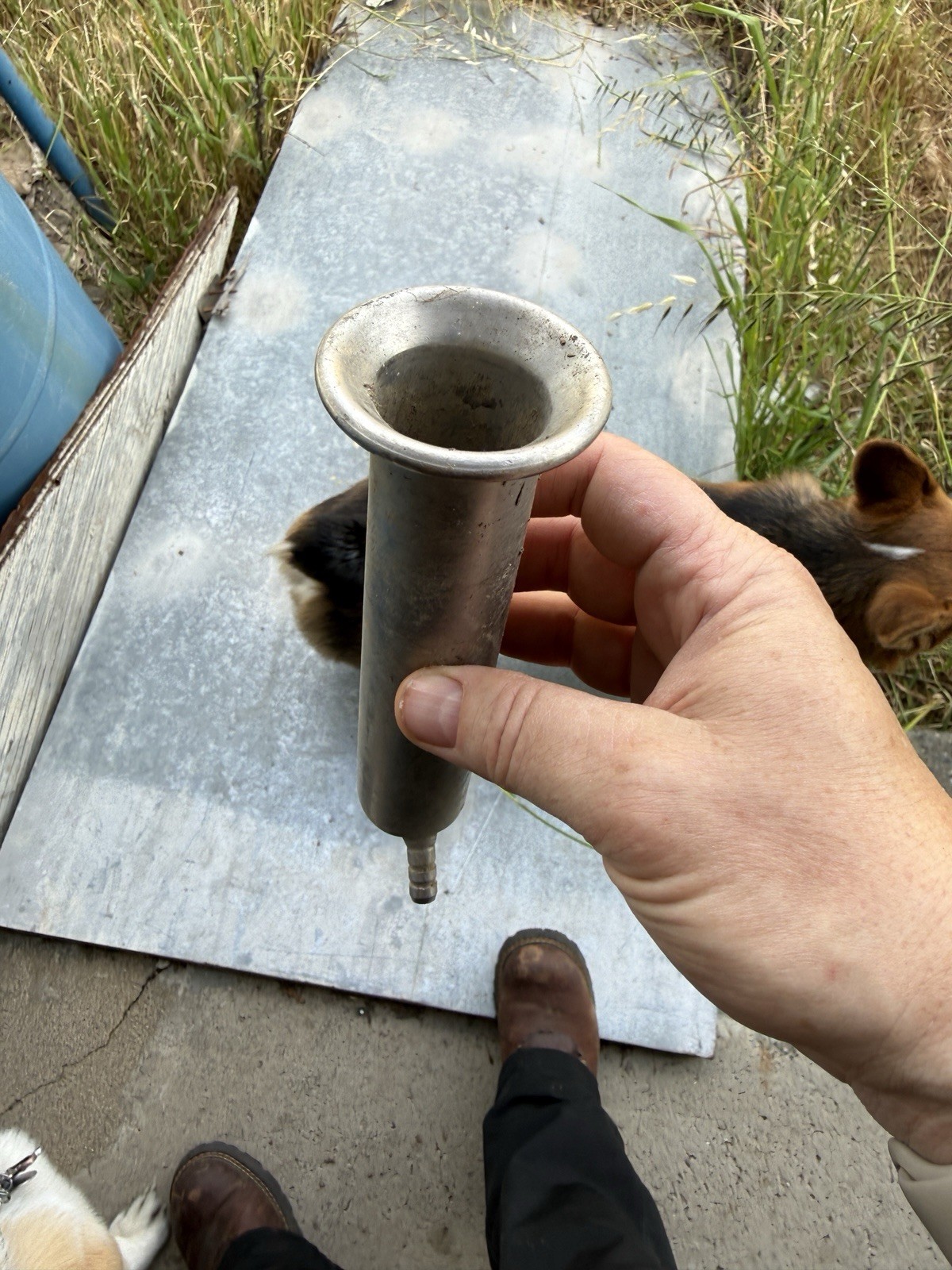 21 Teat cup shells for cow stainless steel
