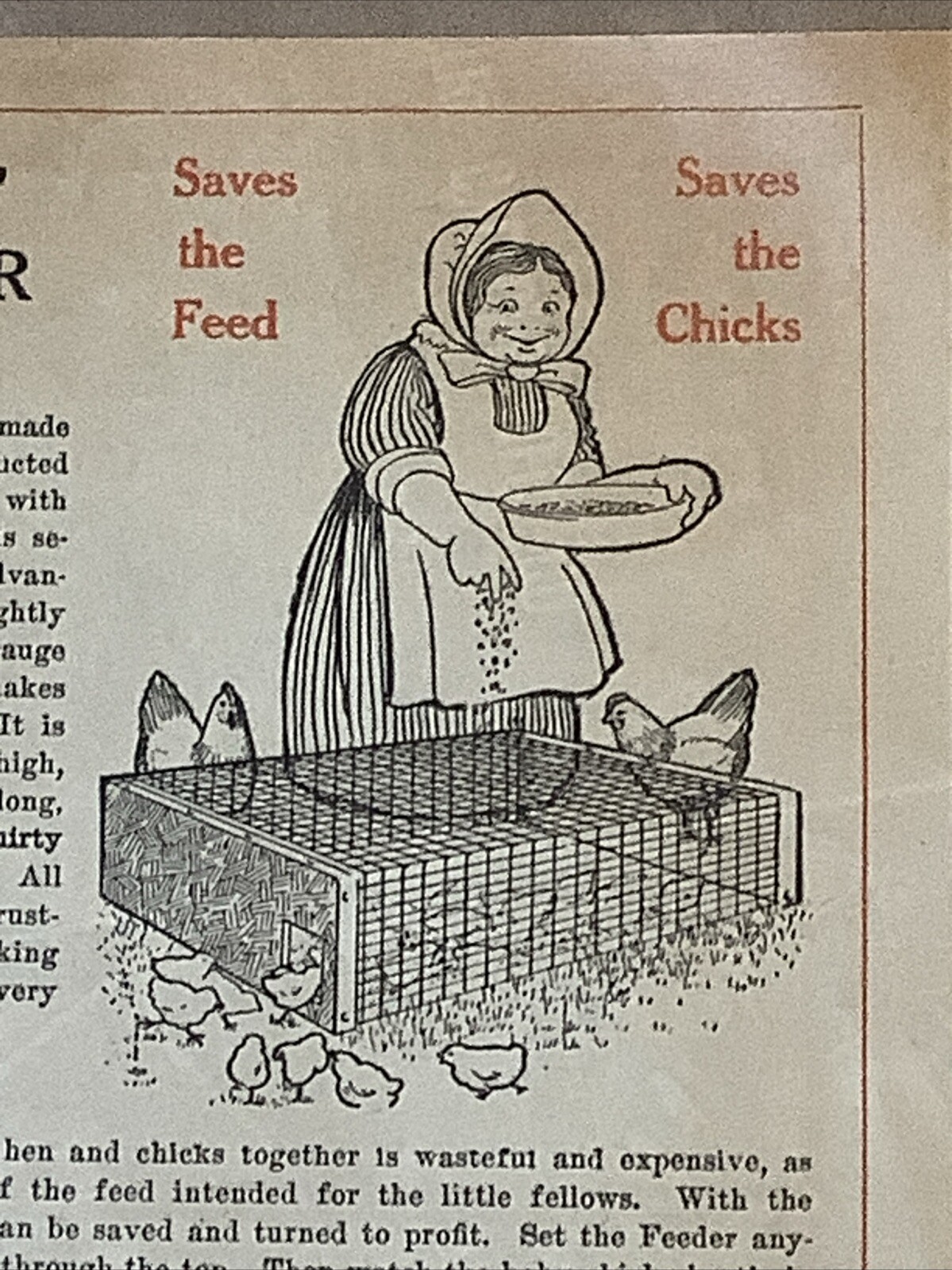 Antique Advertising Brochure Set Lawn Park Brood Coop Babie Feeder INV-P0945