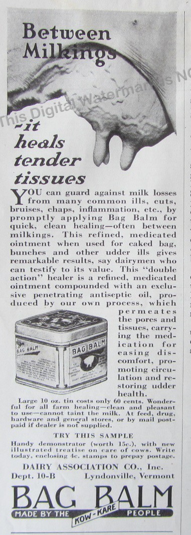 1932 Print Ad * Bag Balm Tin Kow Kare Dairy Assoc Lyndonville VT Heals Tissues