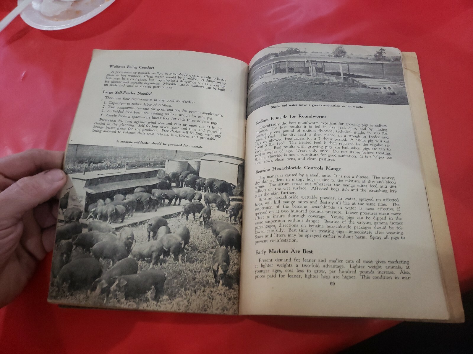 HOARDS DAIRYMAN FEED GUIDE CATTLE SWINE POULTRY FARM BOOK 1954 INSTRUCTION