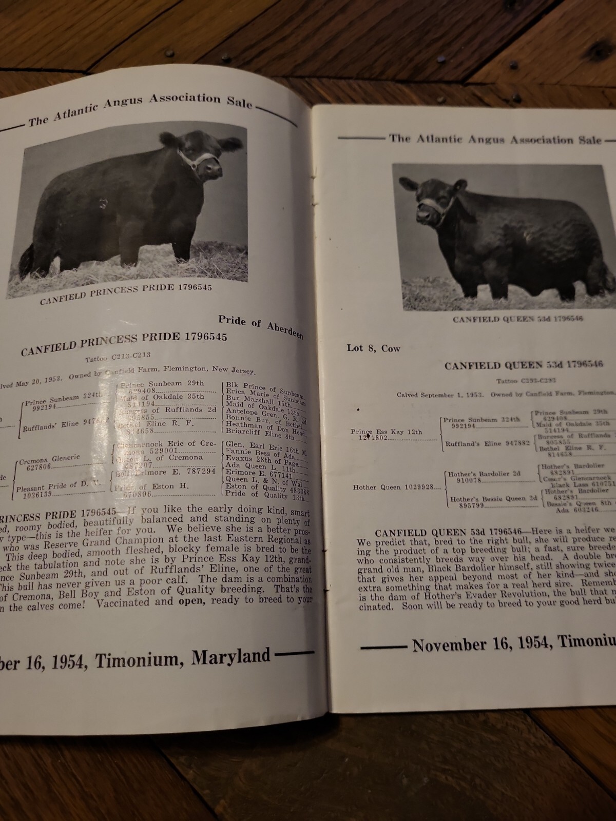 1954 Atlantic Angus Association Sale Bill Aberdeen Cattle Maryland + genealogy