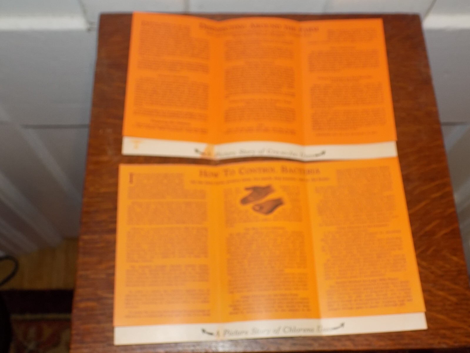 Vintage Pair of Purina Chlorena and Cre-So-Fec Pamphlets