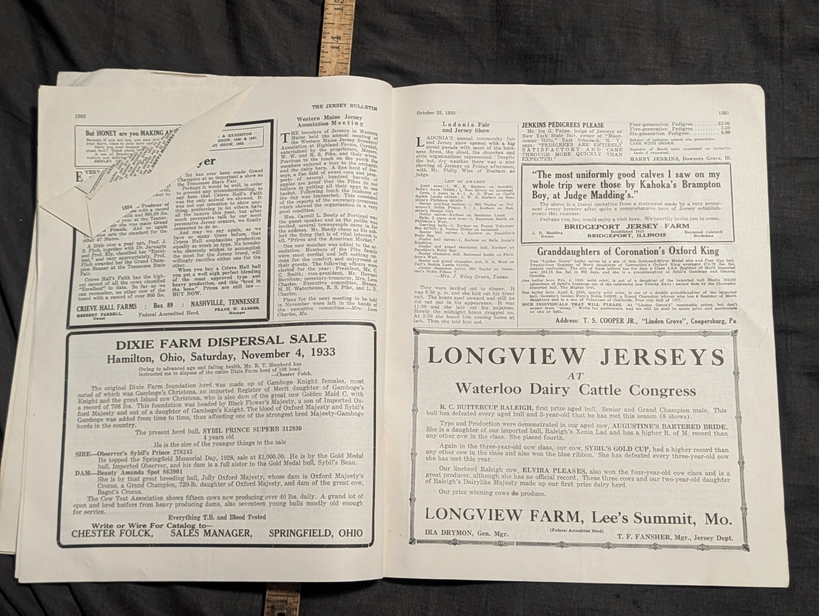 1933 The Jersey Bulletin, Agriculture dairy cattle farmer magazine