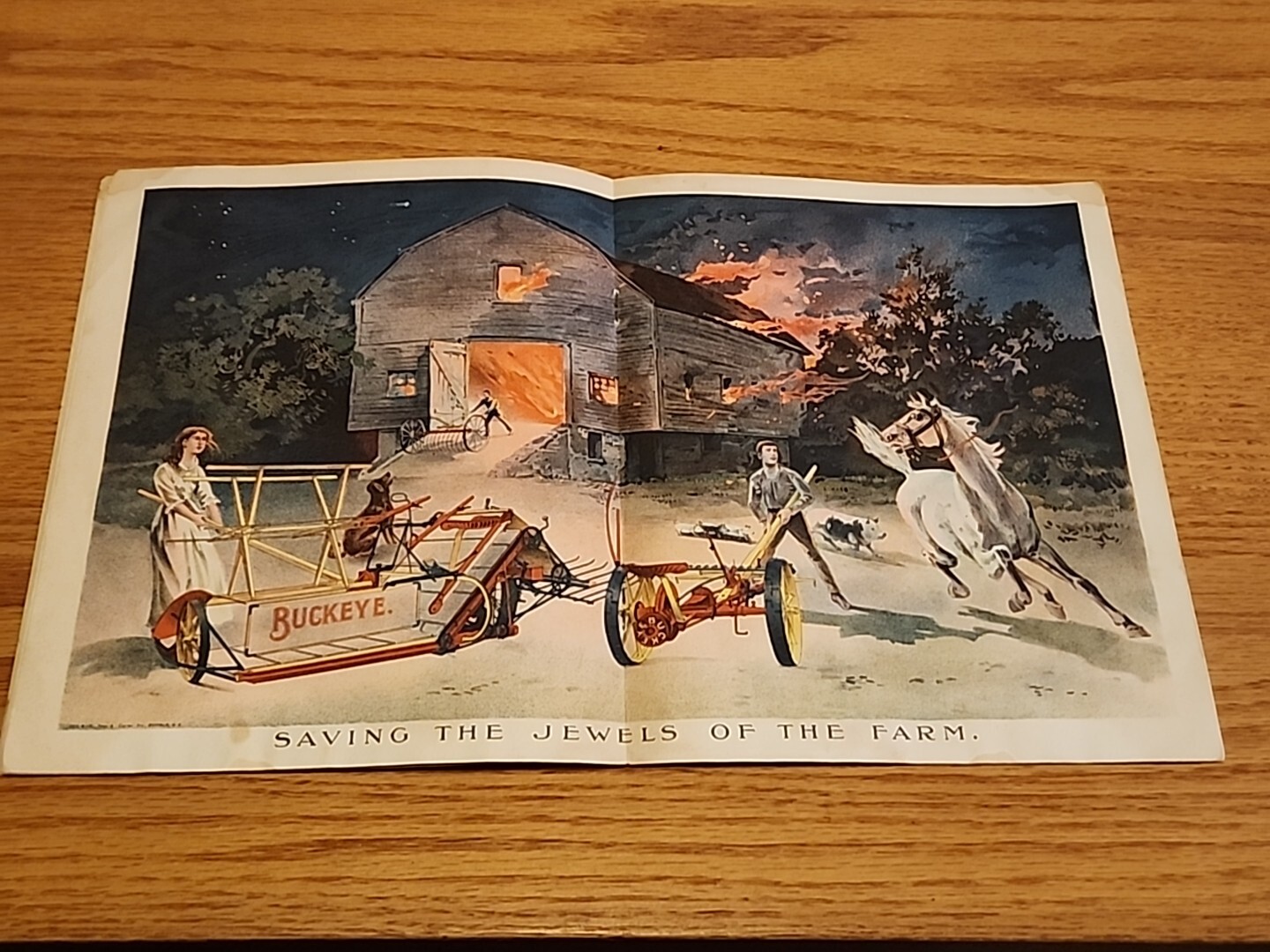 1896 Buckeye Harvesting Machines Aultman Miller Co Catalog Farm Implements