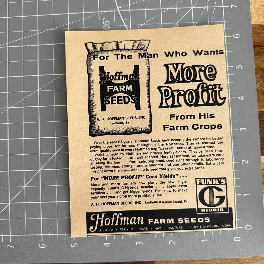 Hoffman Farm Seeds Funks G Hybrid Agriculture Corn Vintage Print Ad 1963