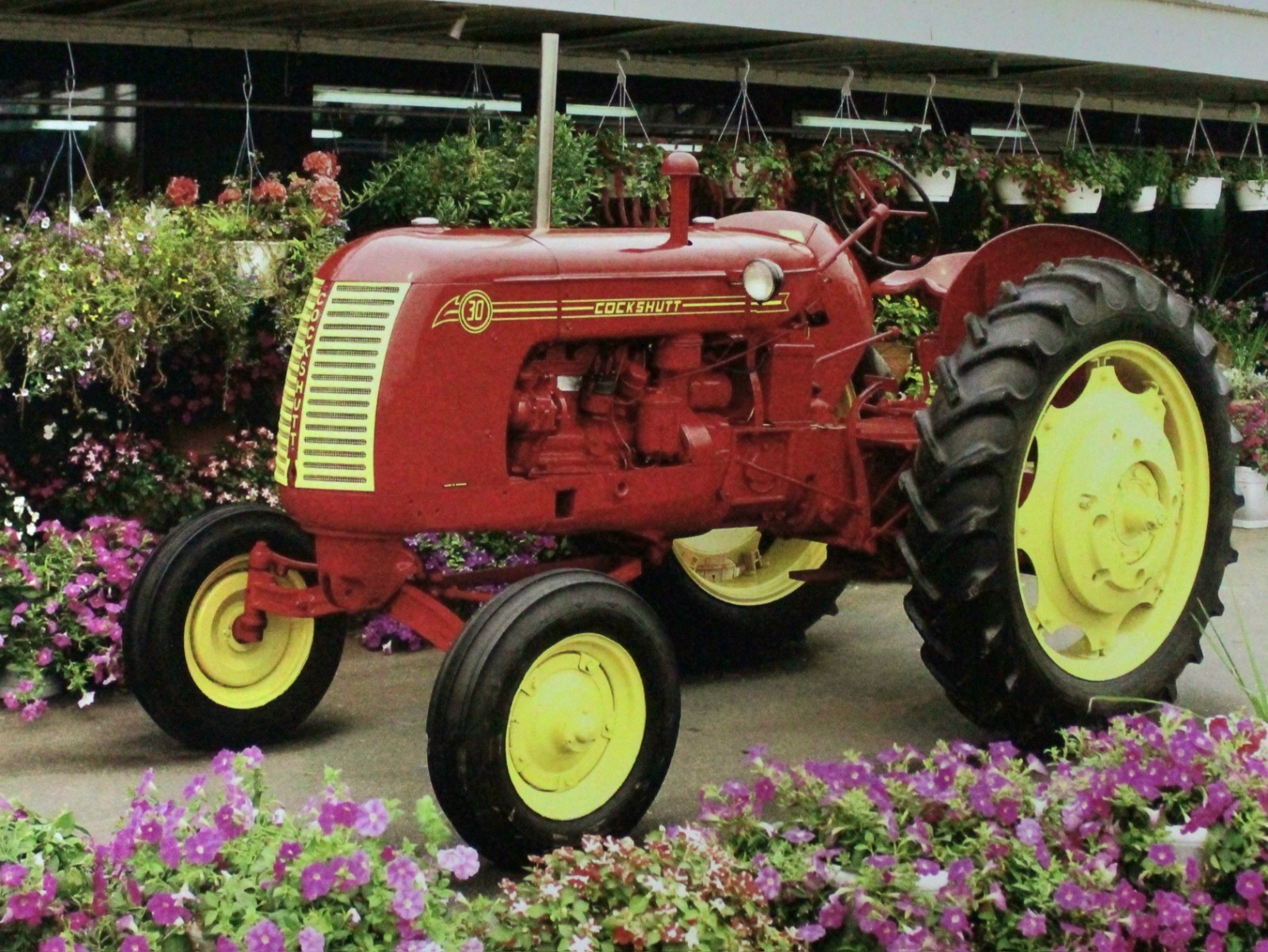 Cockshutt Tractor Vintage Picture Wall Art Country Farm Flowers Decor