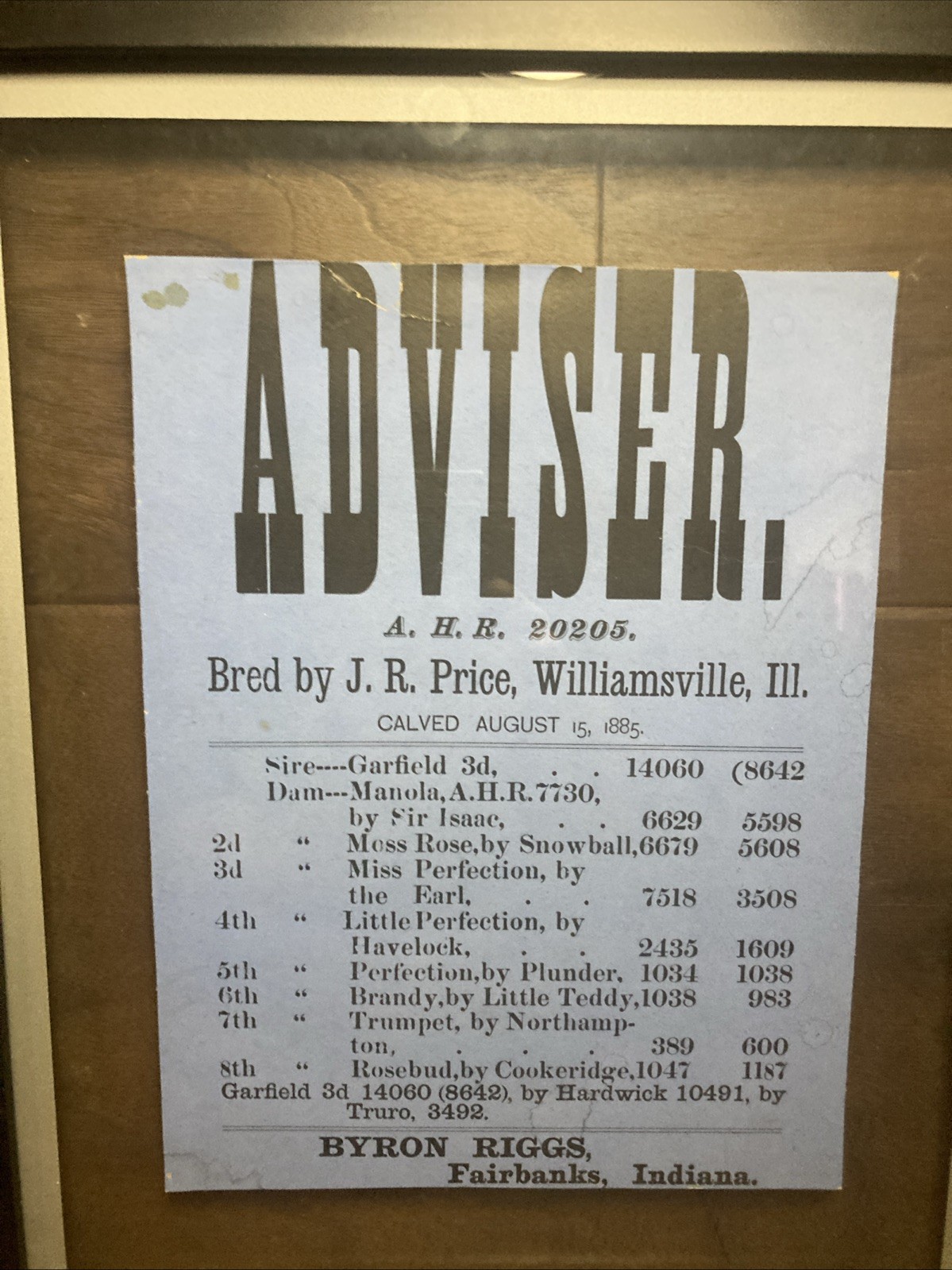 Framed 1885 Sale Bill Cattle Sale