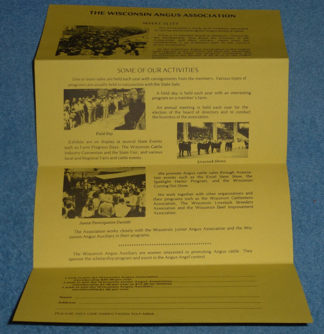 Vtg Wisconsin Angus Association Info Brochure Letter Membership Application Form