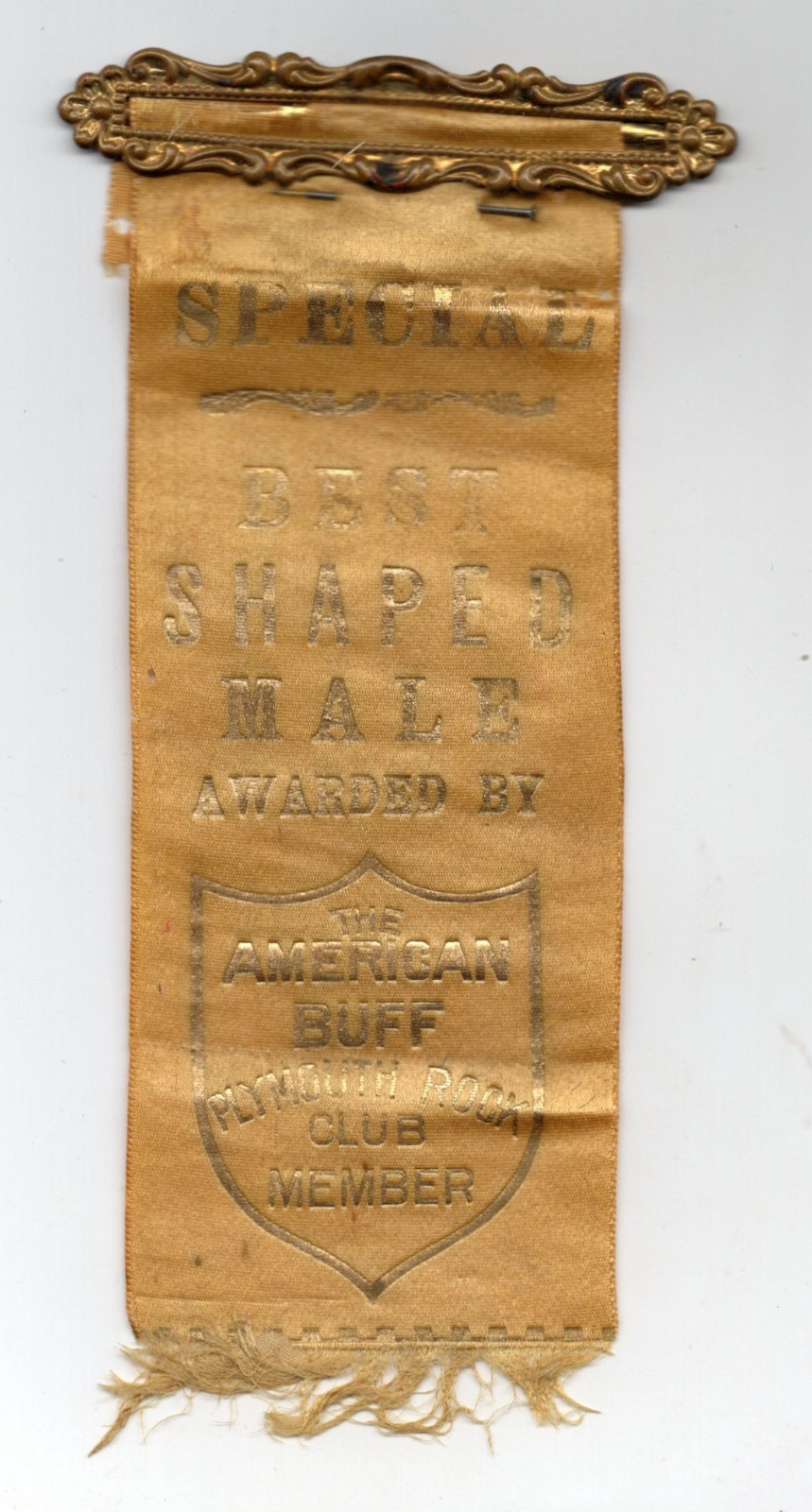 C1910s – American Buff Plymouth Rock Club Poultry Award Ribbon XL2Z