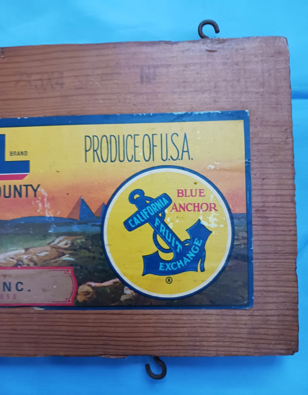 Vintage CAMEL Mountain Fruits Placer County Wood Crate Piece Blue Anchor