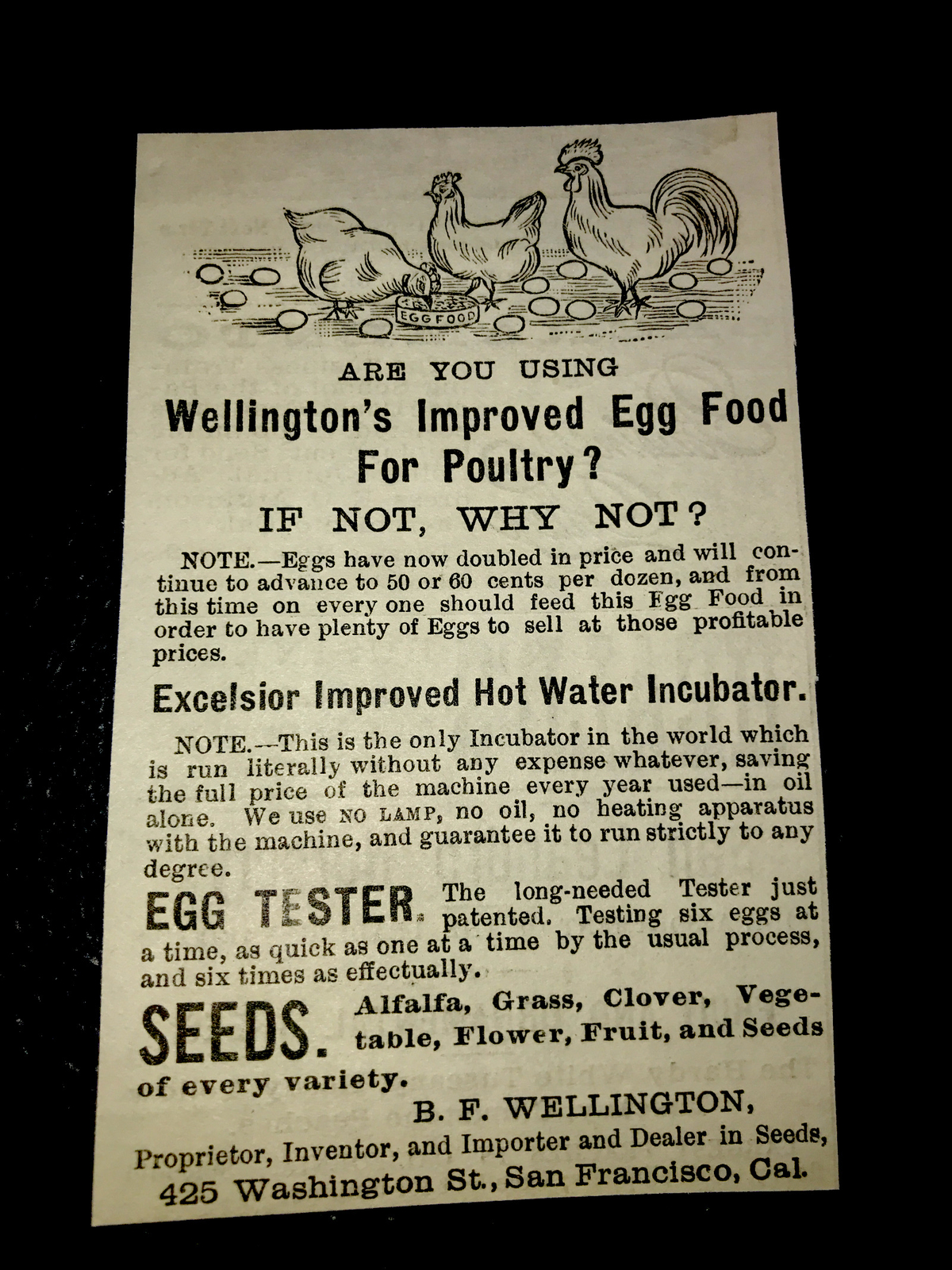 1886 Wellington Chicken Farm Advertising – San Francisco – California