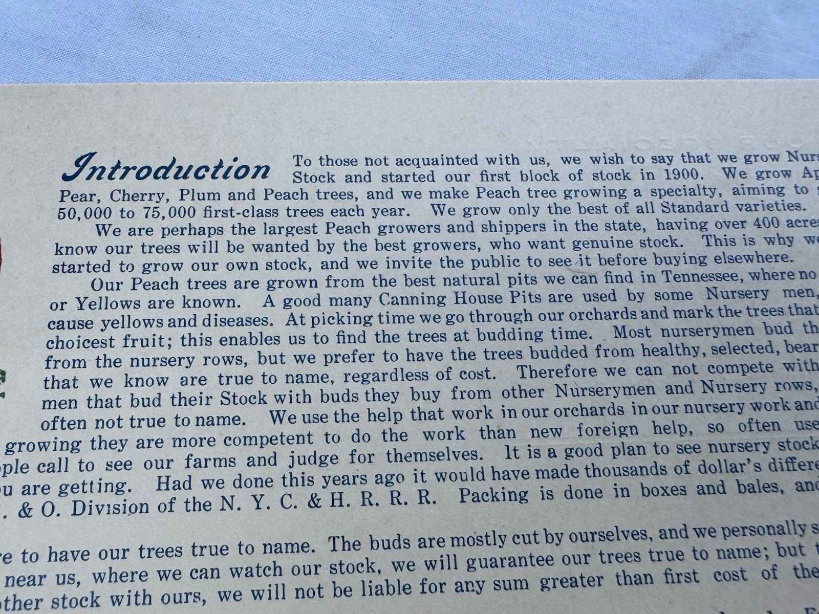 Vintage 1940&rsquo;s Sales Mailer Postcard J H Teat&rsquo;s Sons Williamson NY Peach Apple