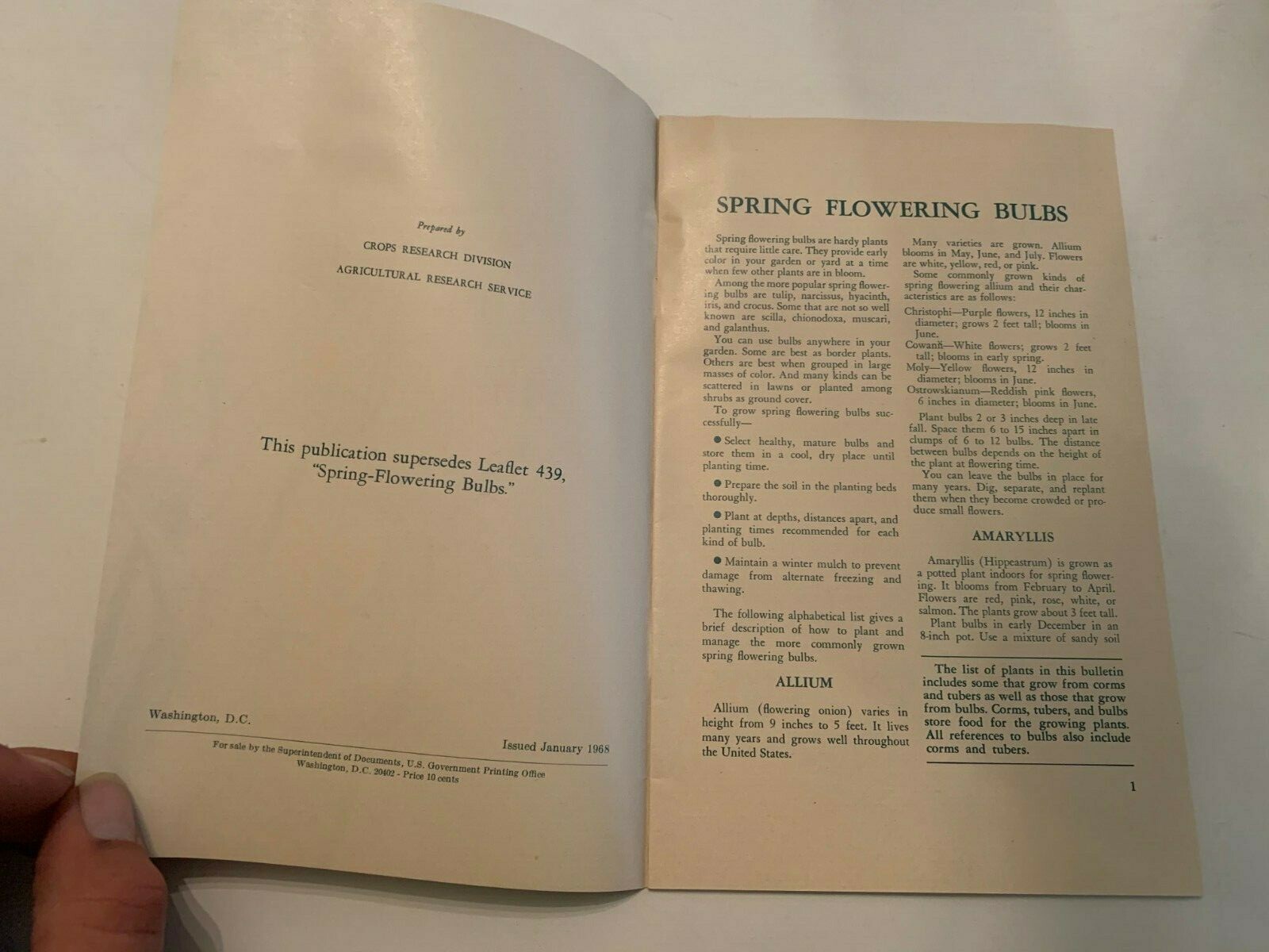 1968 Spring Flowering Bulbs US Department Of Agriculture Booklet