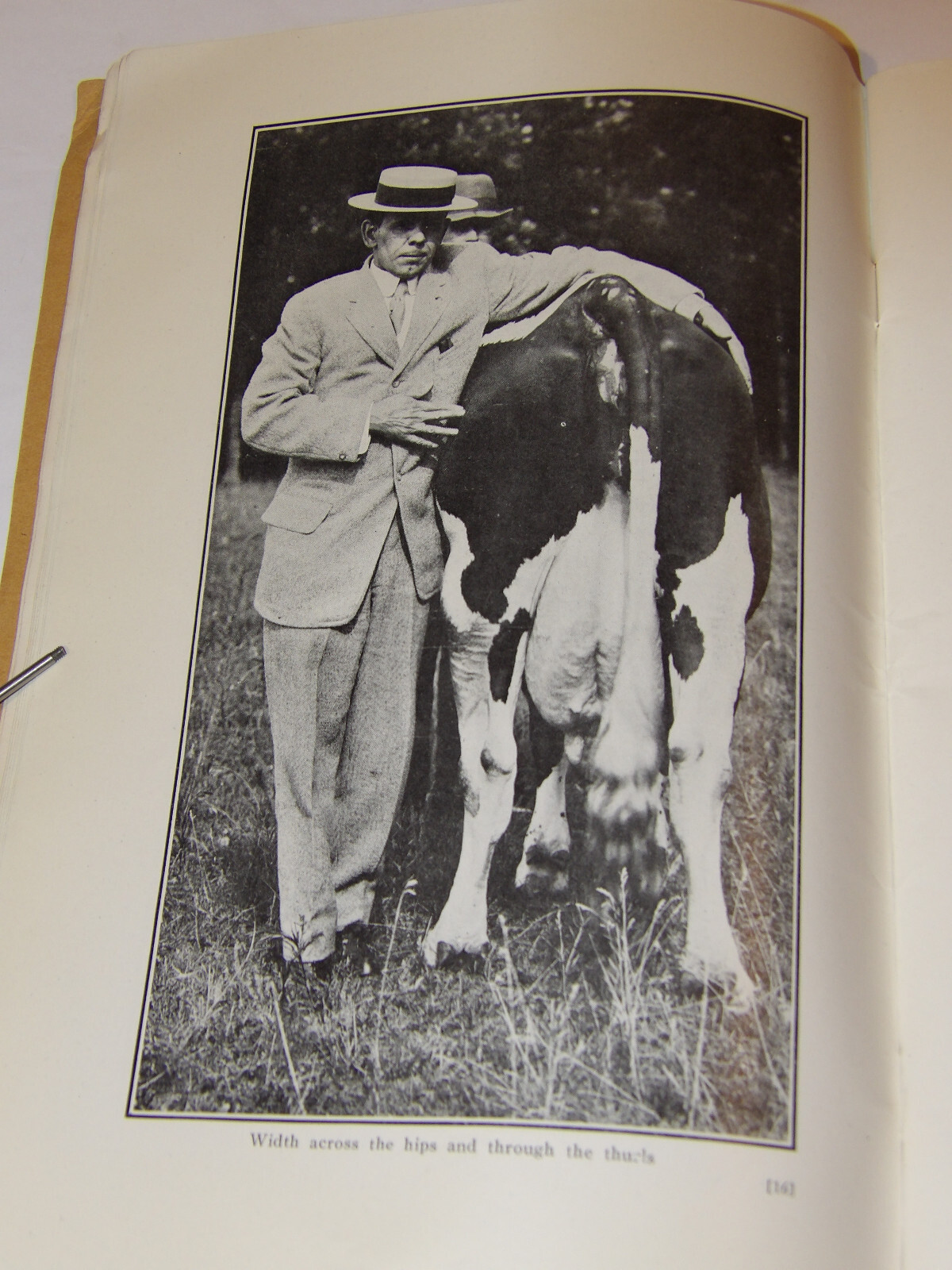 1911 VAN PELT&rsquo;S COW DEMONSTRATION BOOK! 1st EDITION! ILLUSTRATED! 5 ESSENTIALS!