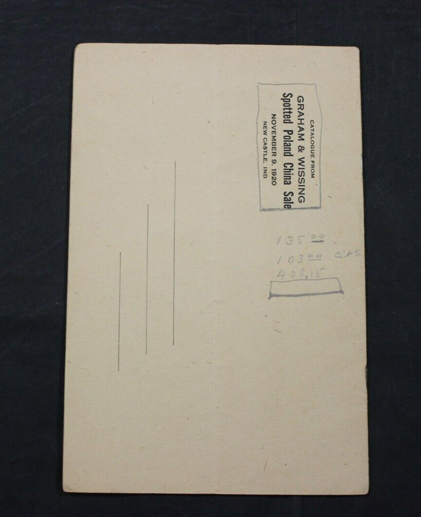 1920 SPOTTED POLAND CHINAS HOG PIG SALE CATALOG ~ NEW CASTLE, INDIANA