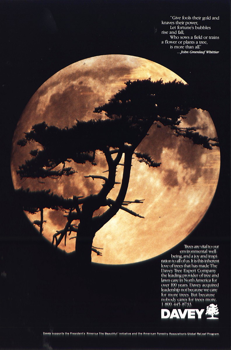 1991 Davey Tree: Give Fools Their Gold Vintage Print Ad