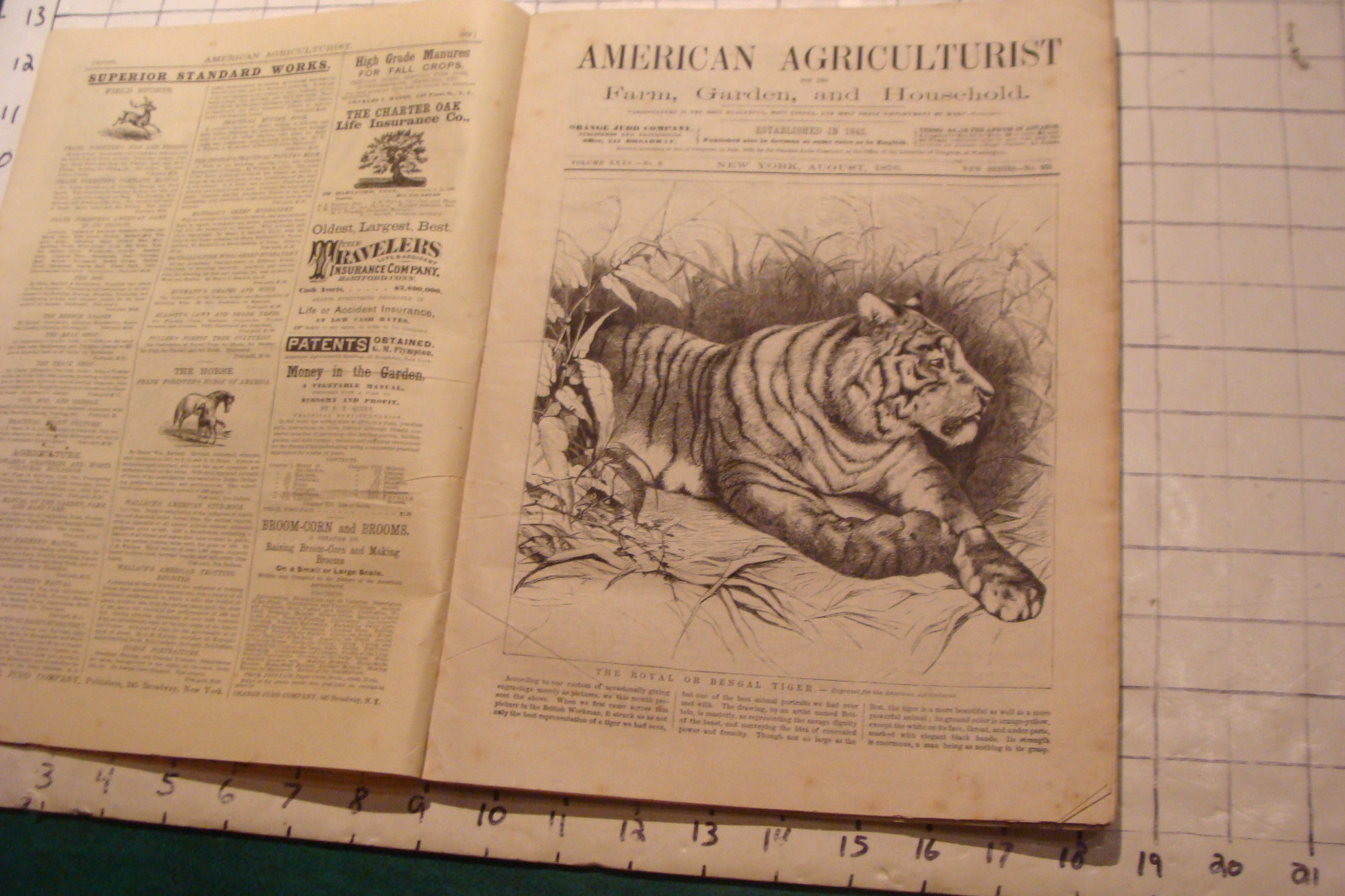 Vintage American Agriculturist 1876 august: TIGER, big puzzle, CRANDALL ADS