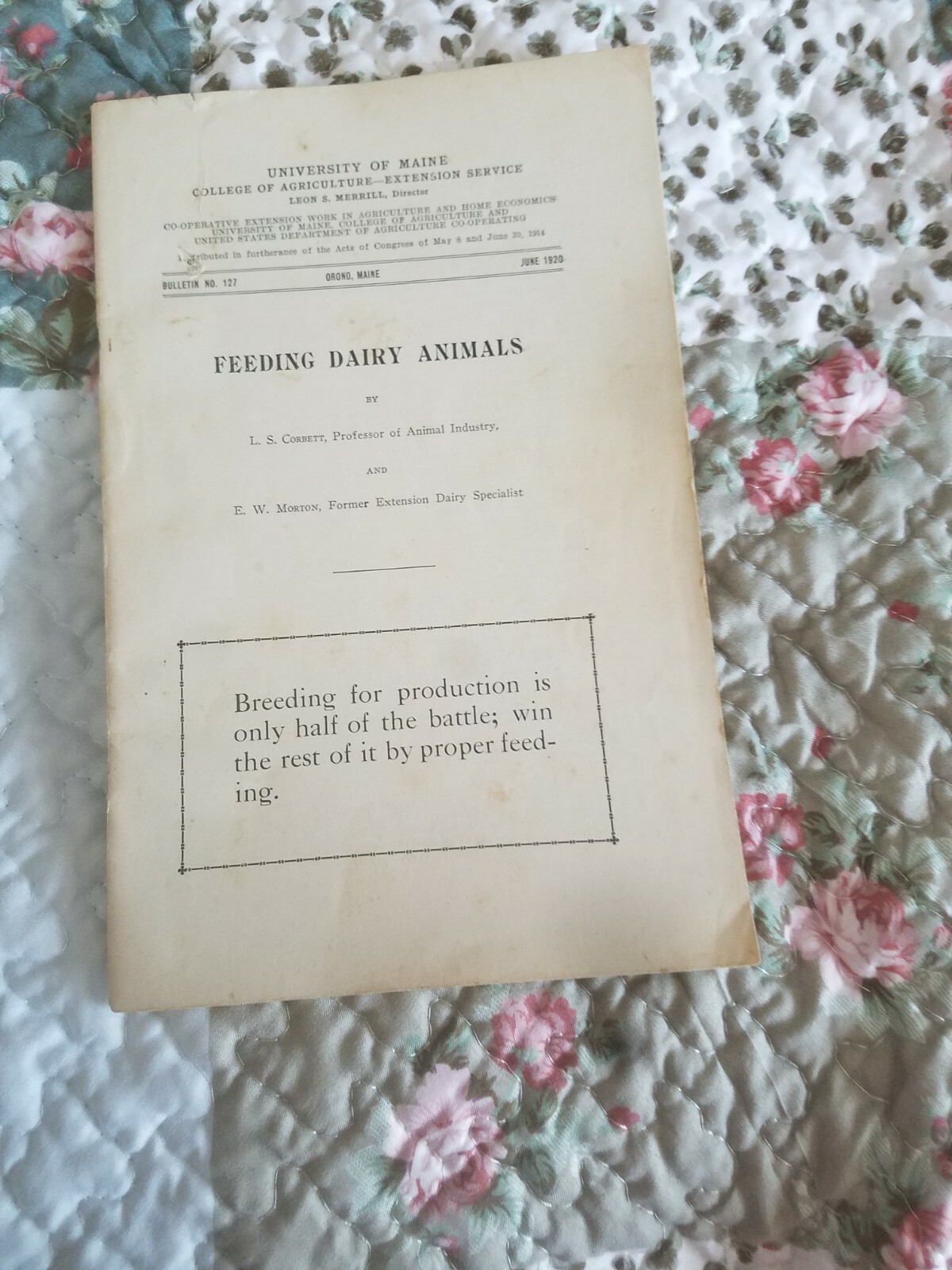 1920 Feeding Dairy Animals UMO Bulletin No. 127