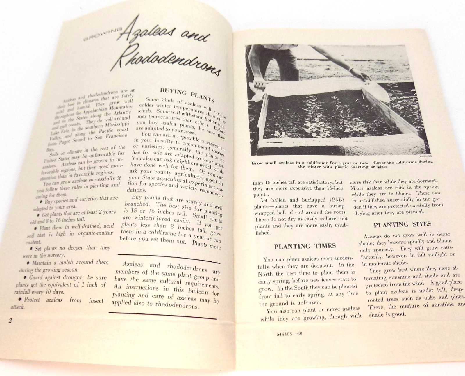 Vntg Growing Azaleas & Rhododendrons US Dept Ag Home & Garden Bulletin # 71 1960